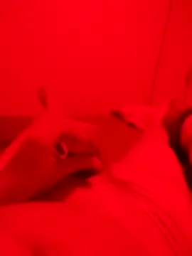 chaucolatier online show from October 2025 07:25:02 PM