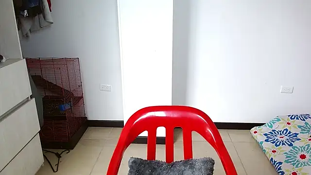 Party trans online show from December 2024 05:03:01 PM