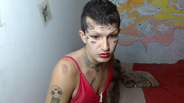 Party trans online show from February 2025 06:35:01 PM