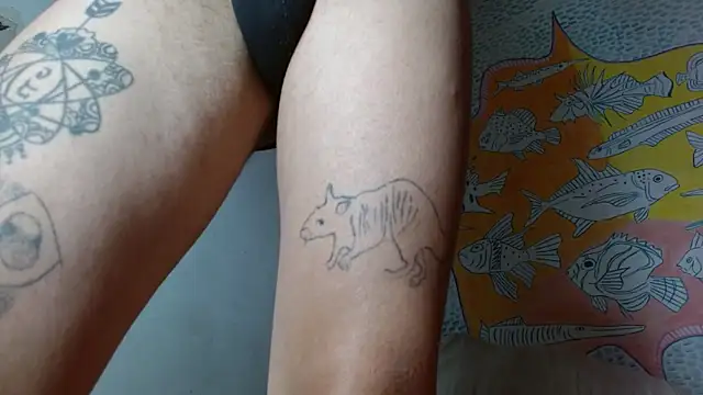 Party trans online show from February 2025 10:28:02 PM