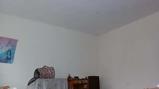 Party trans online show from March 2025 04:04:01 PM