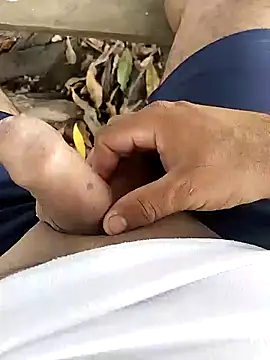 jicormar online show from November 2025 03:56:02 PM