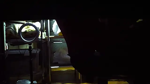 qoooqing67 online show from December 2024 06:18:02 AM