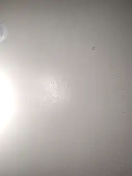 Snapshot of TickleMeKink chatting on October 2025 08:59:02 AM TickleMeKink online show from October 2025 08:59:02 AM