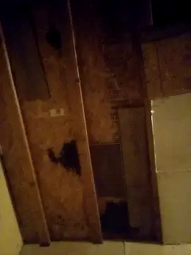 Snapshot of beliqi chatting on December 2024 01:24:02 AM beliqi online show from December 2024 01:24:02 AM