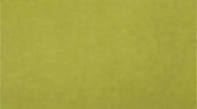 AnneGagner online show from March 2025 06:32:01 PM