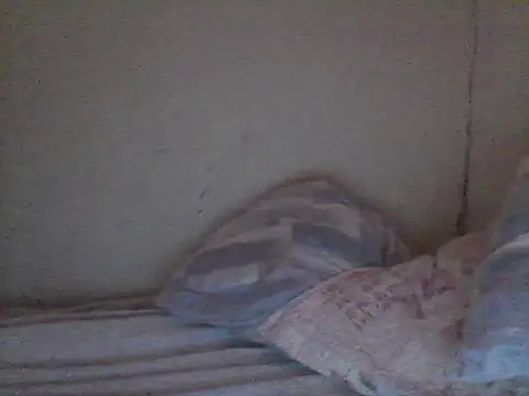 pornstarbrezillian online show from November 2025 12:48:02 PM