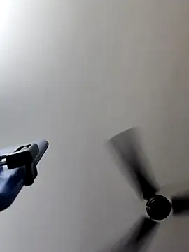 Tamilrojanew online show from October 2025 07:45:02 AM