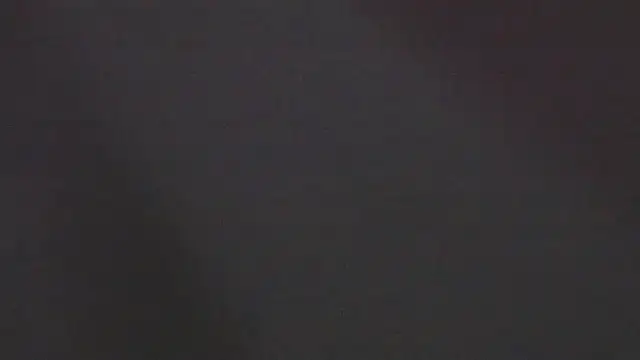 Zoeth Ruiz online show from January 2025 03:39:01 PM