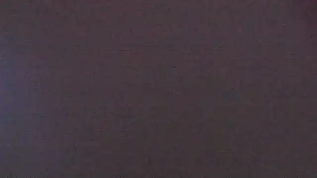 Zoeth Ruiz online show from January 2025 03:20:01 PM