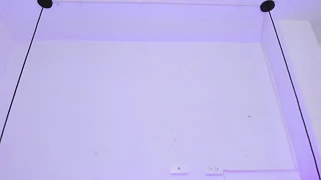 Zoeth Ruiz online show from January 2025 12:45:02 PM