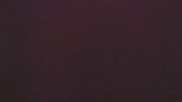 Zoeth Ruiz online show from February 2025 03:20:02 PM