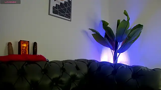 inaya zyad online show from January 2025 03:49:01 PM