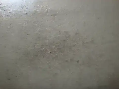 xaviercitoexitado online show from November 2025 03:24:02 PM