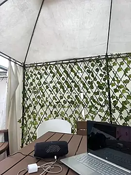 im lorein online show from February 2025 03:10:02 PM