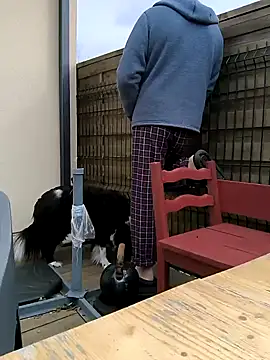 bogland33 online show from March 2025 10:15:02 AM