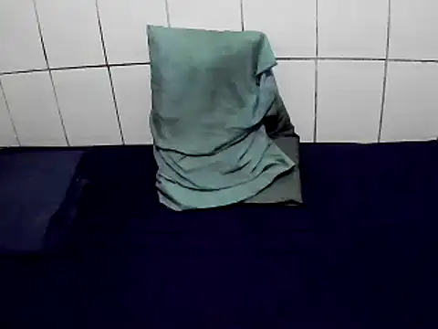 Snapshot of pierdona chatting on January 2025 12:06:01 AM pierdona online show from January 2025 12:06:01 AM