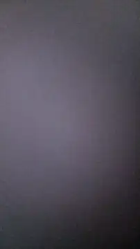 Hugo Coopers online show from September 2025 08:30:01 AM