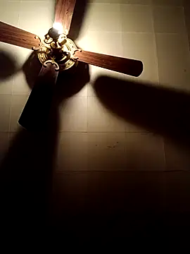 RobStrokes215 online show from December 2024 07:26:01 AM