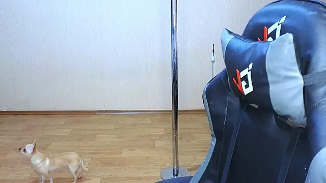 doll barbieee online show from March 2025 05:06:02 PM