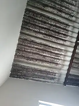 putoso031 online show from February 2025 06:23:01 PM