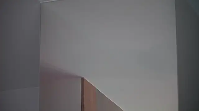 Snapshot of DreamSofia chatting on March 2025 12:24:01 PM DreamSofia online show from March 2025 12:24:01 PM