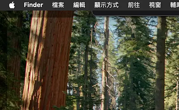 Snapshot of ex199212 chatting on March 2025 01:50:02 AM ex199212 online show from March 2025 01:50:02 AM