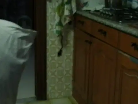 VeneRed online show from October 2025 03:49:01 PM