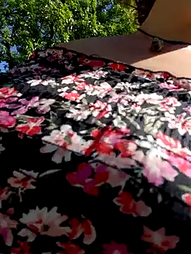 Snapshot of Mardul-ce chatting on October 2025 04:52:02 PM Mardul-ce online show from October 2025 04:52:02 PM