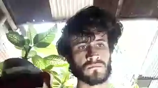 Loggan donnelly online show from October 2025 08:05:01 PM