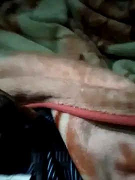 Snapshot of Antor1234 chatting on January 2025 05:02:02 PM Antor1234 online show from January 2025 05:02:02 PM