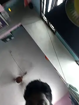 Snapshot of Whiskyboye chatting on October 2025 05:14:01 AM Whiskyboye online show from October 2025 05:14:01 AM