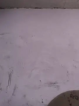 kinguscicus online show from October 2025 11:31:02 AM