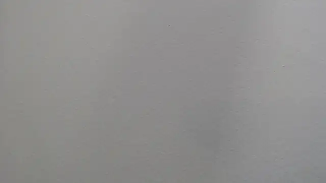 Dyla n18 online show from January 2025 09:41:02 PM