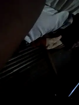 Snapshot of Chiseldigger chatting on November 2025 02:55:02 AM Chiseldigger online show from November 2025 02:55:02 AM