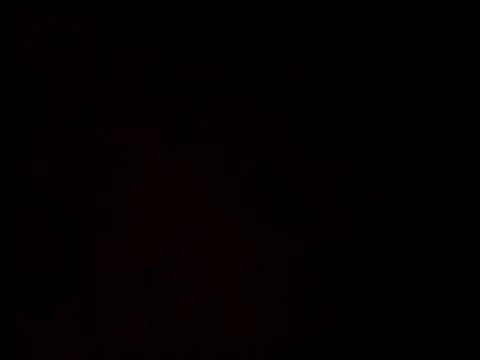 linksjack1010 online show from February 2025 06:34:02 PM