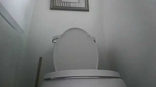 you like my chocolate101 online show from October 2025 08:40:02 PM