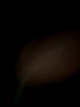 satrr xxx online show from September 2025 08:24:01 PM