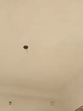 Snapshot of Lexi_Baby_ chatting on December 2024 08:09:01 AM Lexi Baby online show from December 2024 08:09:01 AM