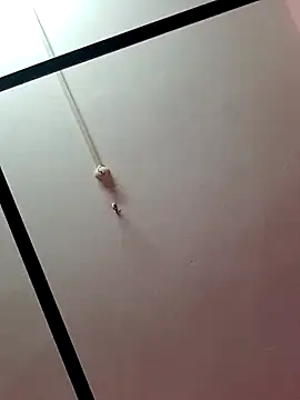 Snapshot of Lexi_Baby_ chatting on December 2024 10:39:02 AM Lexi Baby online show from December 2024 10:39:02 AM