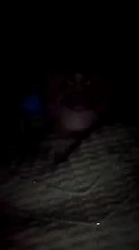 maftel online show from February 2025 12:57:02 AM