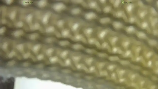 Snapshot of Alysta chatting on October 2025 08:20:01 PM Alysta online show from October 2025 08:20:01 PM