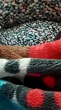 Snapshot of houda_sex_hot chatting on February 2025 11:12:02 PM houda sex hot online show from February 2025 11:12:02 PM