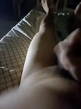 Snapshot of pedronovinho123 chatting on December 2024 02:53:01 AM pedronovinho123 online show from December 2024 02:53:01 AM