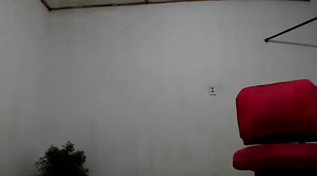 fernandez latinblackk online show from December 2024 02:47:01 AM