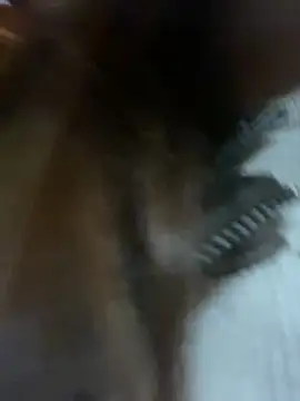 Snapshot of girl_anni chatting on February 2025 09:15:01 AM girl anni online show from February 2025 09:15:01 AM