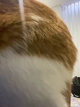 Snapshot of girl_anni chatting on November 2025 03:12:02 PM girl anni online show from November 2025 03:12:02 PM