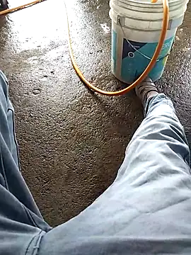 Snapshot of PracticalGum40 chatting on October 2025 06:56:01 AM PracticalGum40 online show from October 2025 06:56:01 AM