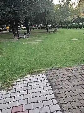 lofarinsan online show from October 2025 12:13:02 PM