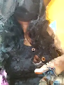 Snapshot of Tamillminnal chatting on September 2025 05:02:02 PM Tamillminnal online show from September 2025 05:02:02 PM